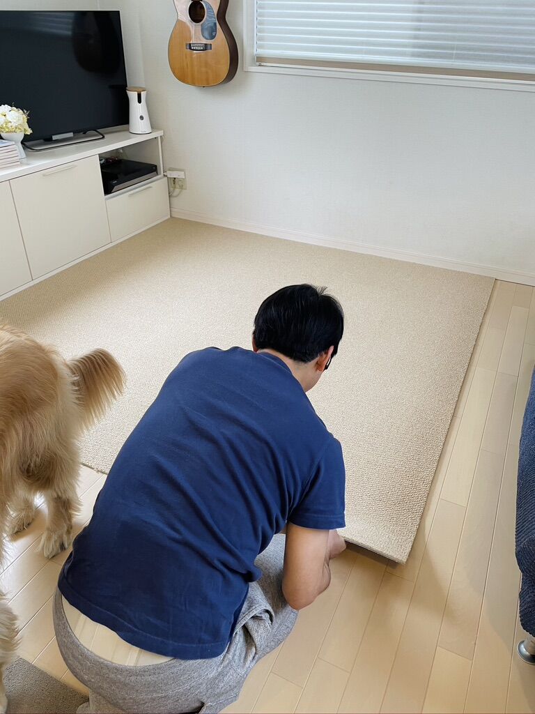 タイルカーペット張り替え リンマンブルース ゴールデンレトリバーの生態とマンガ Powered By ライブドアブログ