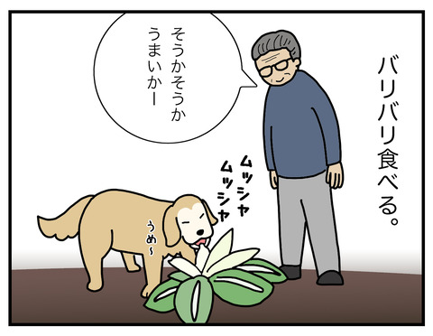 白菜の食べ方03