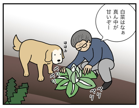 白菜の食べ方02