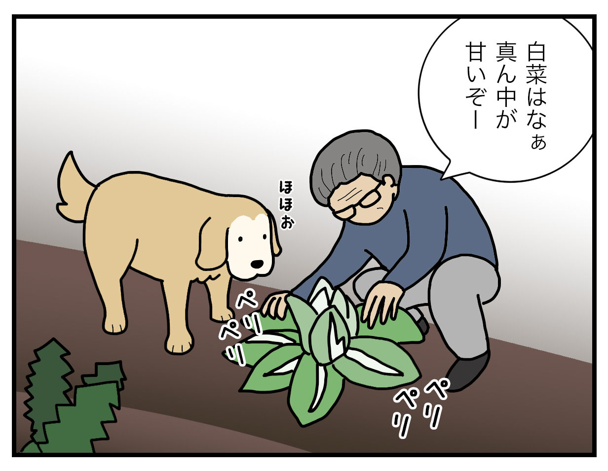 エフ漫画 白菜の食べ方 リンマンブルース ゴールデンレトリバーの生態とマンガ Powered By ライブドアブログ エフ漫画 白菜の食べ方 リンマンブルース ゴールデンレトリバーの生態とマンガ Powered By ライブドアブログ