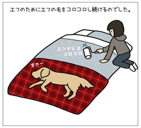 コロコロ06