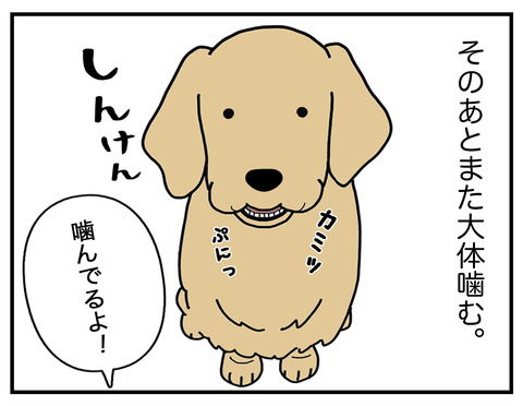 噛みがち05