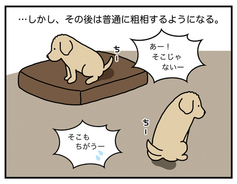 天才コメ06