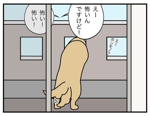 初めての洗礼03
