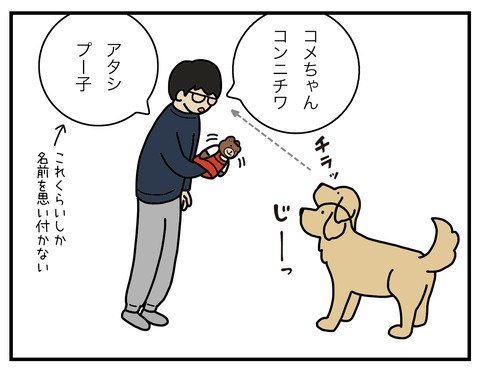 冷静な犬05
