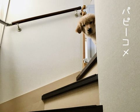 写真02