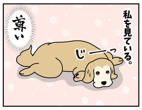 05b