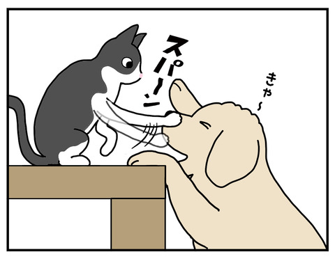 06