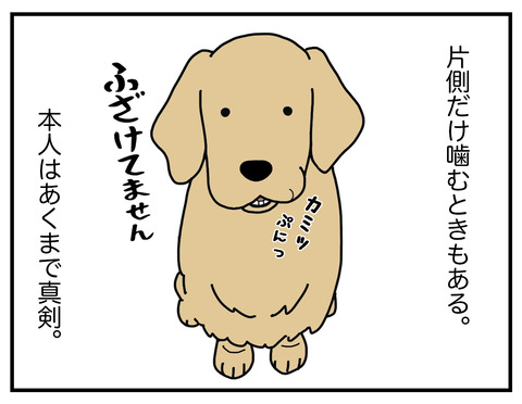 噛みがち03