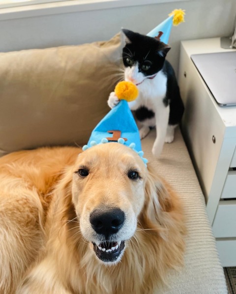 E03839BC-F248-451A-8495-4BCA618ECC16