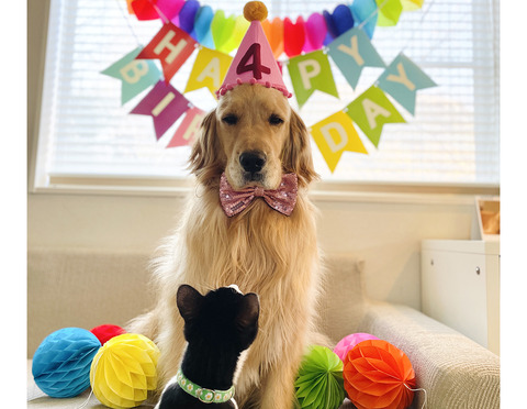 誕生日4