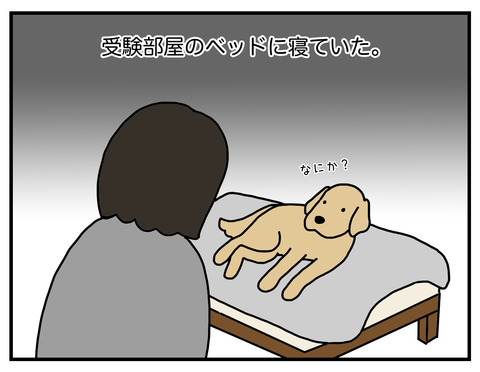 自分の部屋03