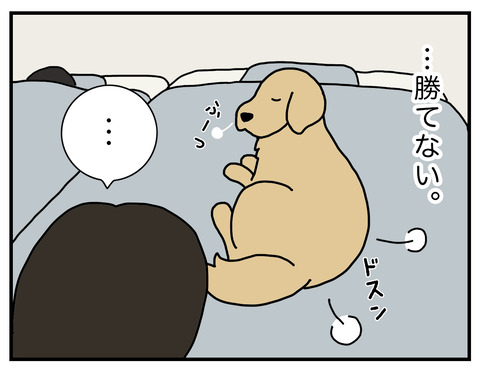 奪い合い08