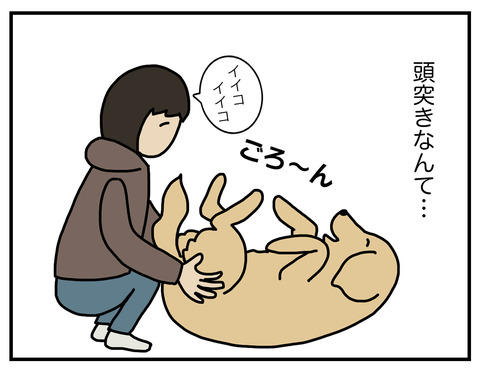 頭突き06