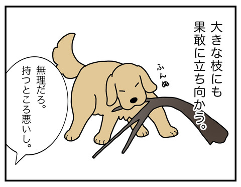 レトリバー02