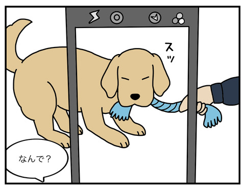 真面目犬04