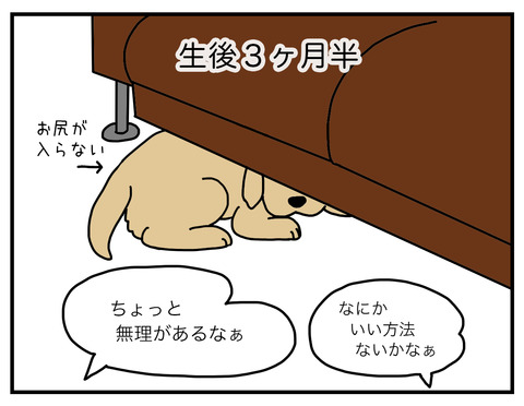 気休め新兵器02