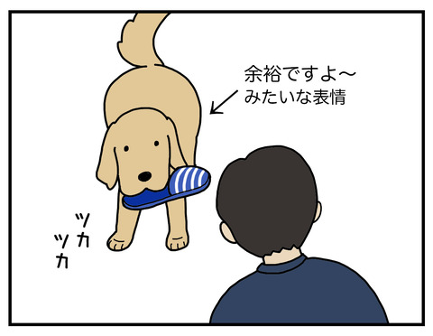 得意げな犬06
