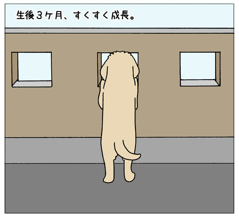 成長02