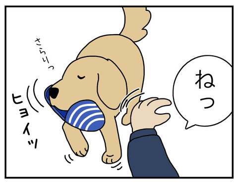 得意げな犬04