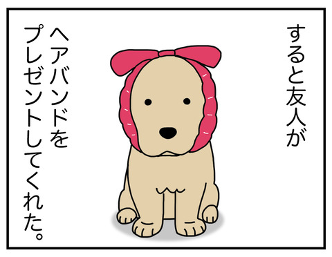 耳の長い犬06