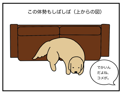 さらば背もたれ03