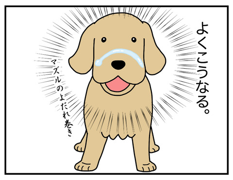 それぞれのゴムパッキン06