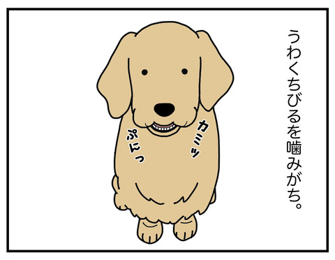 噛みがち02