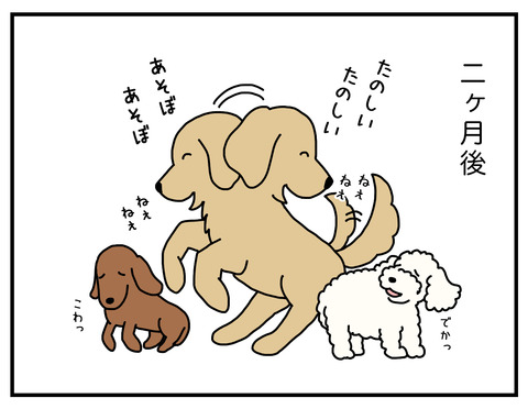 なんで遊んでくれないの03
