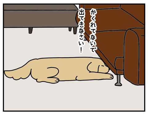 86C035AF-E69F-41DA-B1F8-0BB791B18A65_1_105_c