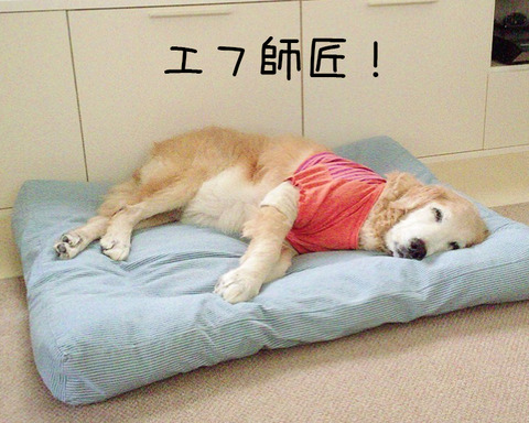 写真１