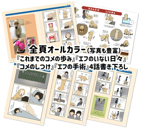 blog宣伝02のコピー