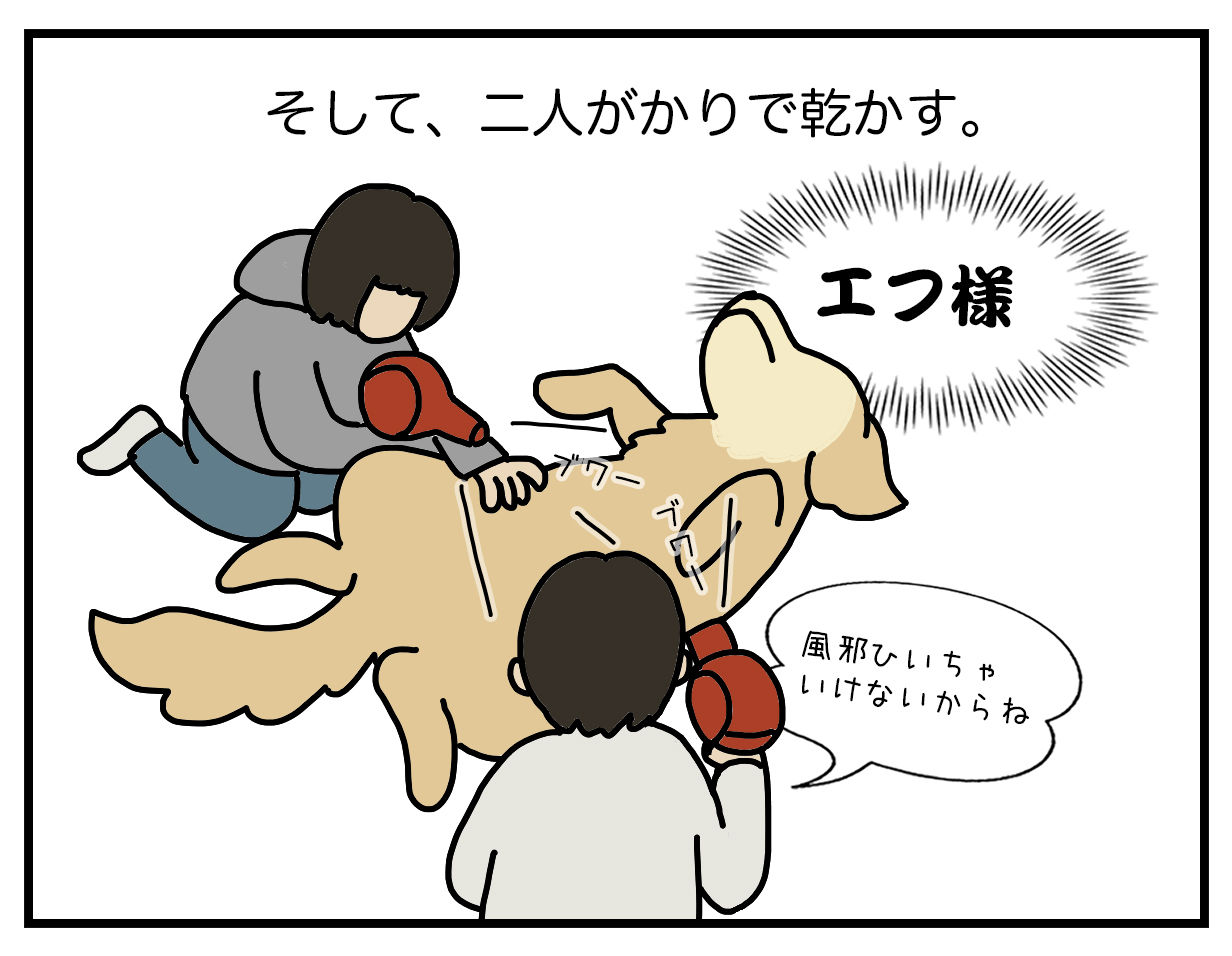 エフ漫画 老犬シャンプー リンマンブルース ゴールデンレトリバーの生態とマンガ Powered By ライブドアブログ