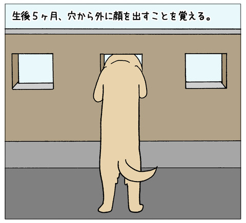 成長05