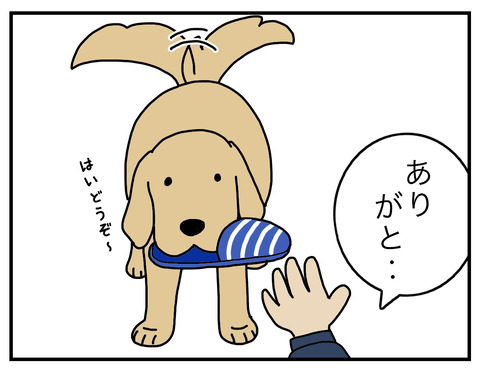 得意げな犬03