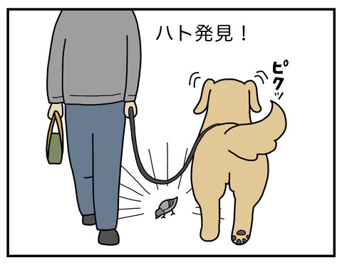 リード01