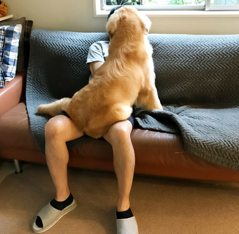ブログサムネイル用っr