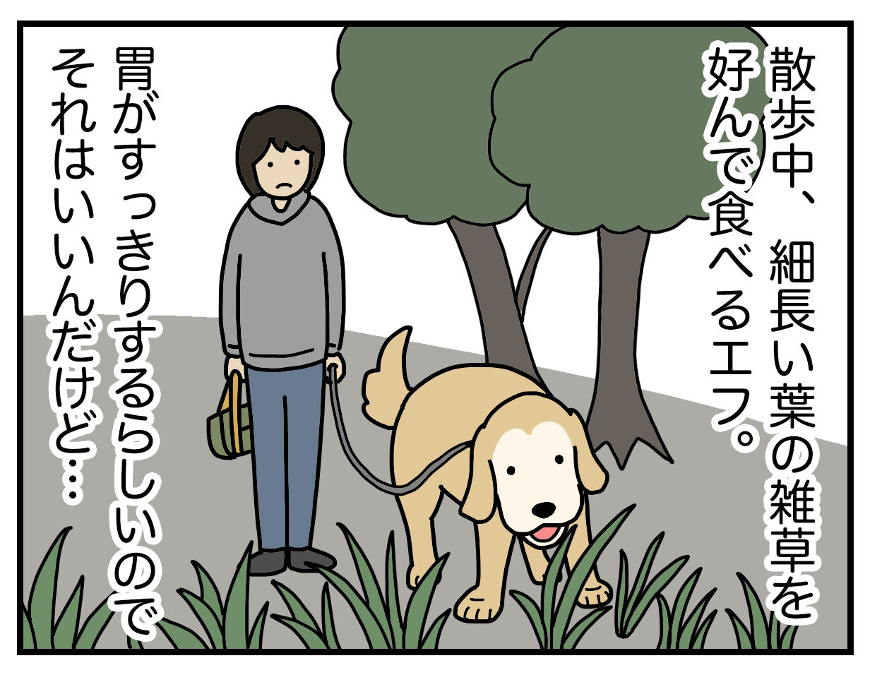 エフ漫画 数珠つなぎ リンマンブルース ゴールデンレトリバーの生態とマンガ Powered By ライブドアブログ エフ漫画 数珠つなぎ リンマンブルース ゴールデンレトリバーの生態とマンガ Powered By ライブドアブログ