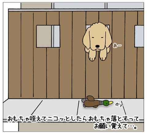 おもちゃ落とす10