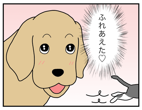 猫06