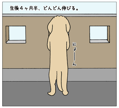 成長04
