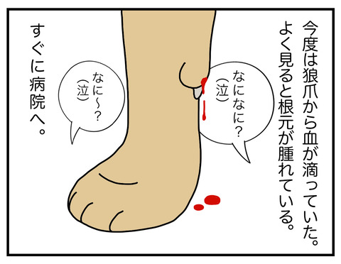 ダイエット06