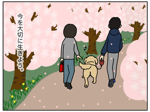 桜と老犬06