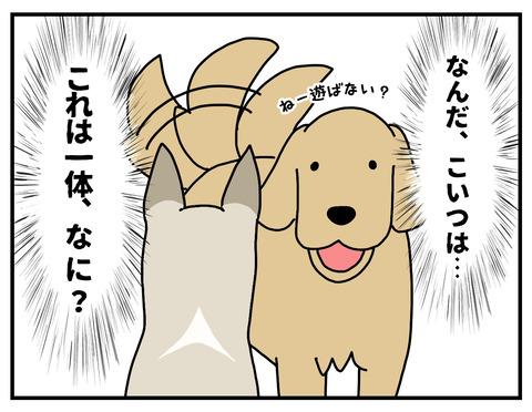 これは一体なに06