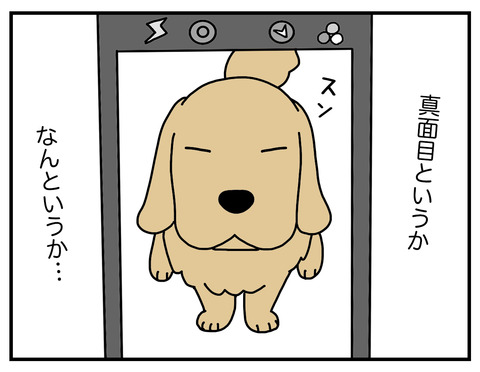 真面目犬07
