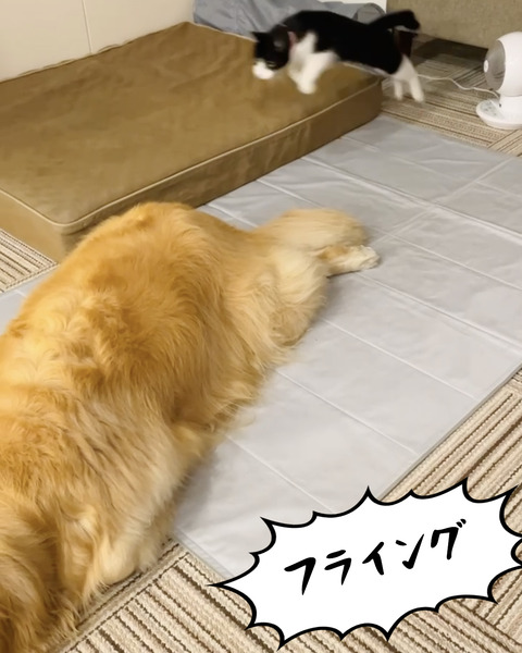 スクリーンショット 2025-07-29 14.59.05 のコピー