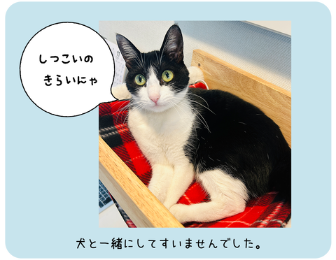 写真 のコピー2
