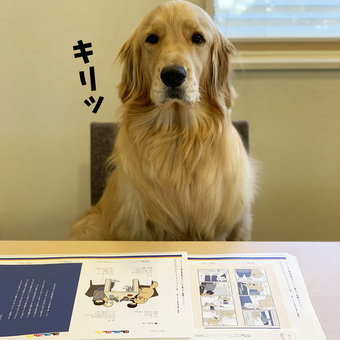 blog宣伝03