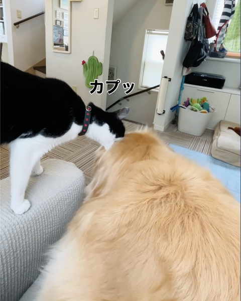 スクリーンショット 2023-07-25 13.23.40
