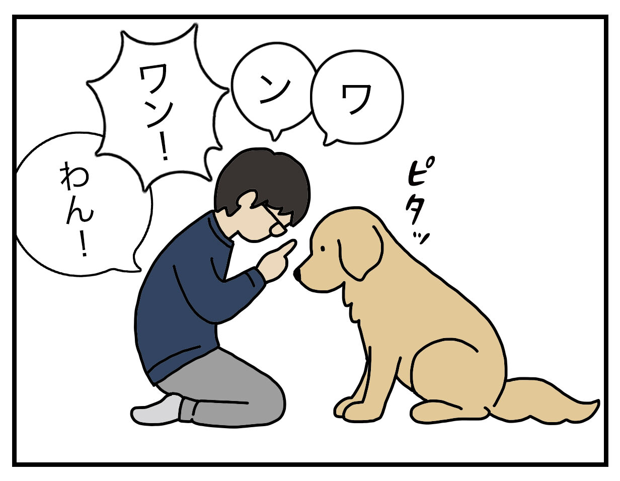 エフ漫画 算数犬 リンマンブルース ゴールデンレトリバーの生態とマンガ Powered By ライブドアブログ